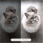 Load image into Gallery viewer, Animals - Mobile Lightroom Presets
