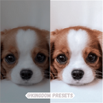 Load image into Gallery viewer, Animals - Mobile Lightroom Presets
