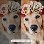 Load image into Gallery viewer, Animals - Mobile Lightroom Presets
